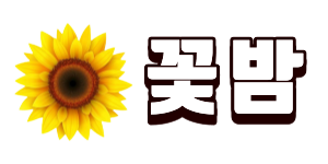 꽃밤 주소 공식 안내 - 실시간 업데이트 최신 바로가기